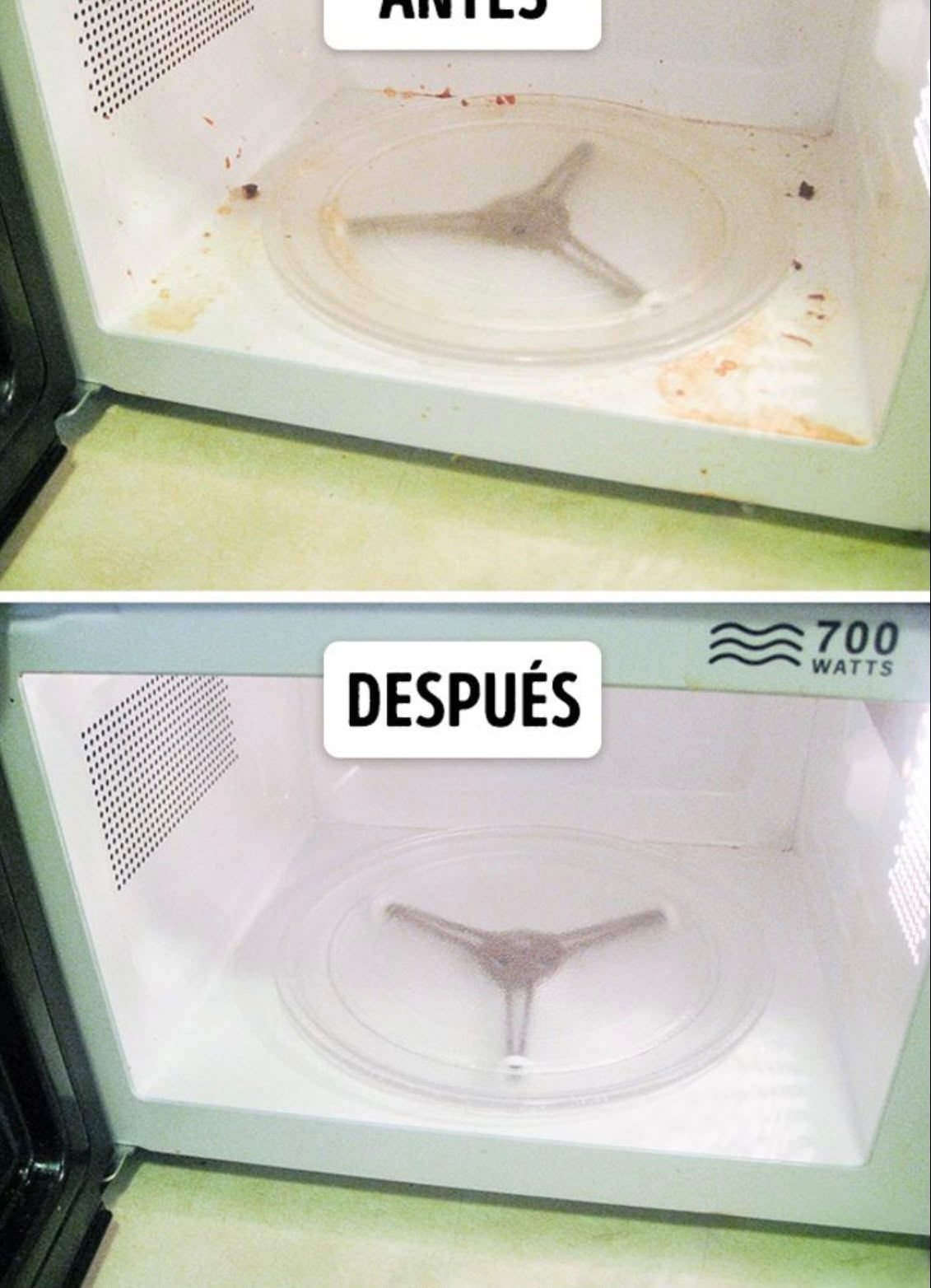 Before and after microwave cleaning